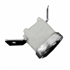 Thermostat for BLUE STEAM NEW